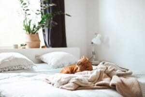 Как выбрать постельное белье